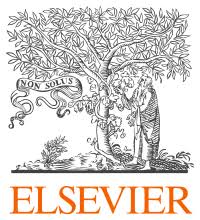 Elsevier Journals